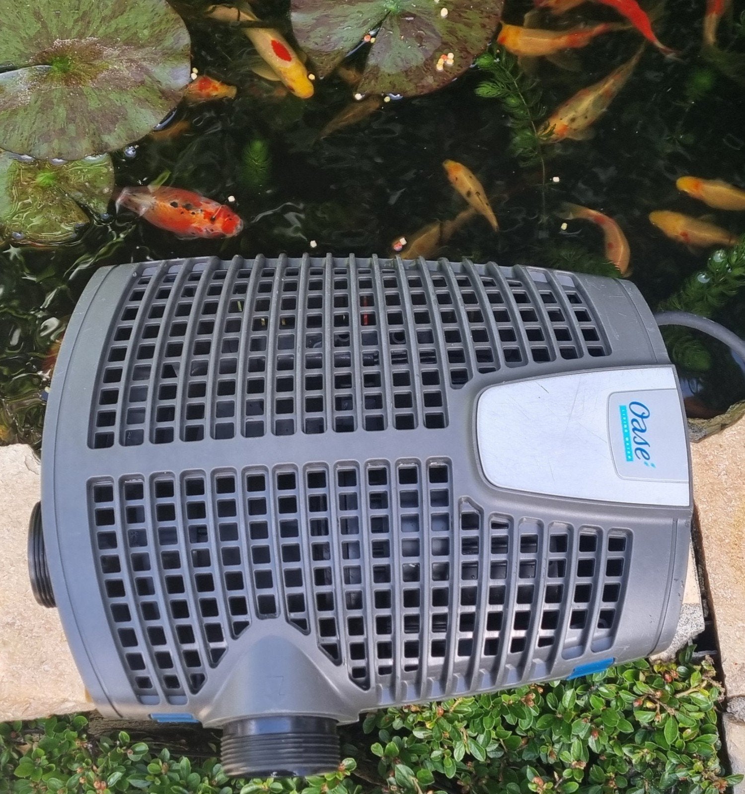 Oase AquaMax ECO Premium 8000., Tuin en Terras, Vijver-toebehoren, Ophalen of Verzenden, Zo goed als nieuw, Vijverpomp