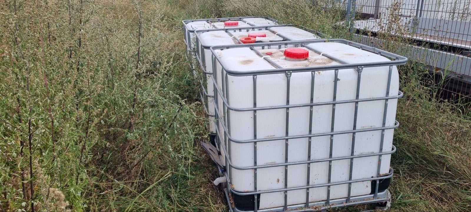 IBC Tank - Watertank - Regenwaterton, Tuin en Terras, Regentonnen, Kunststof, Gebruikt, Met kraantje, 150 liter of meer