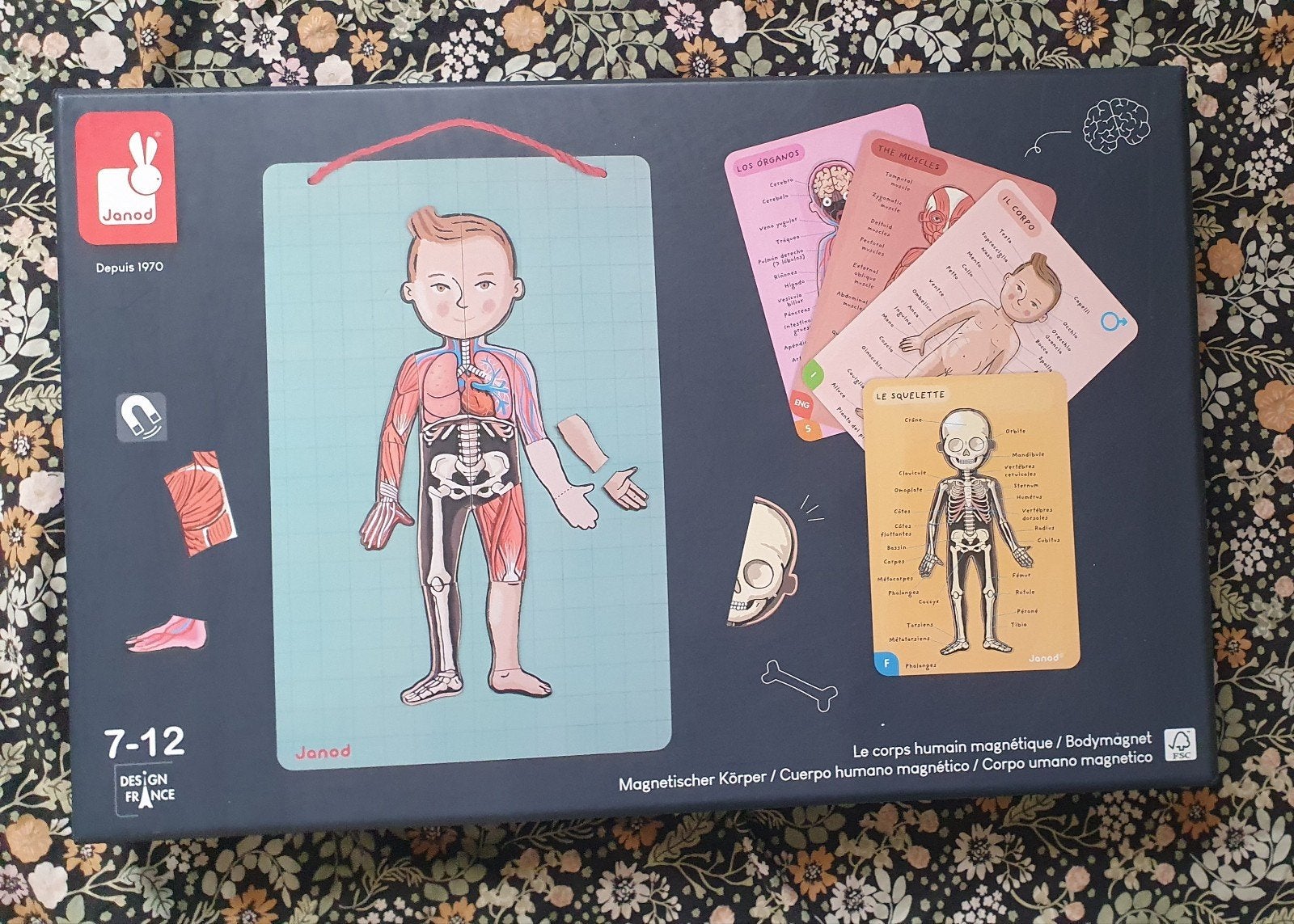 Janod Magnetisch spel Het Menselijk Lichaam, Kinderen en Baby's, Ophalen of Verzenden, Zo goed als nieuw