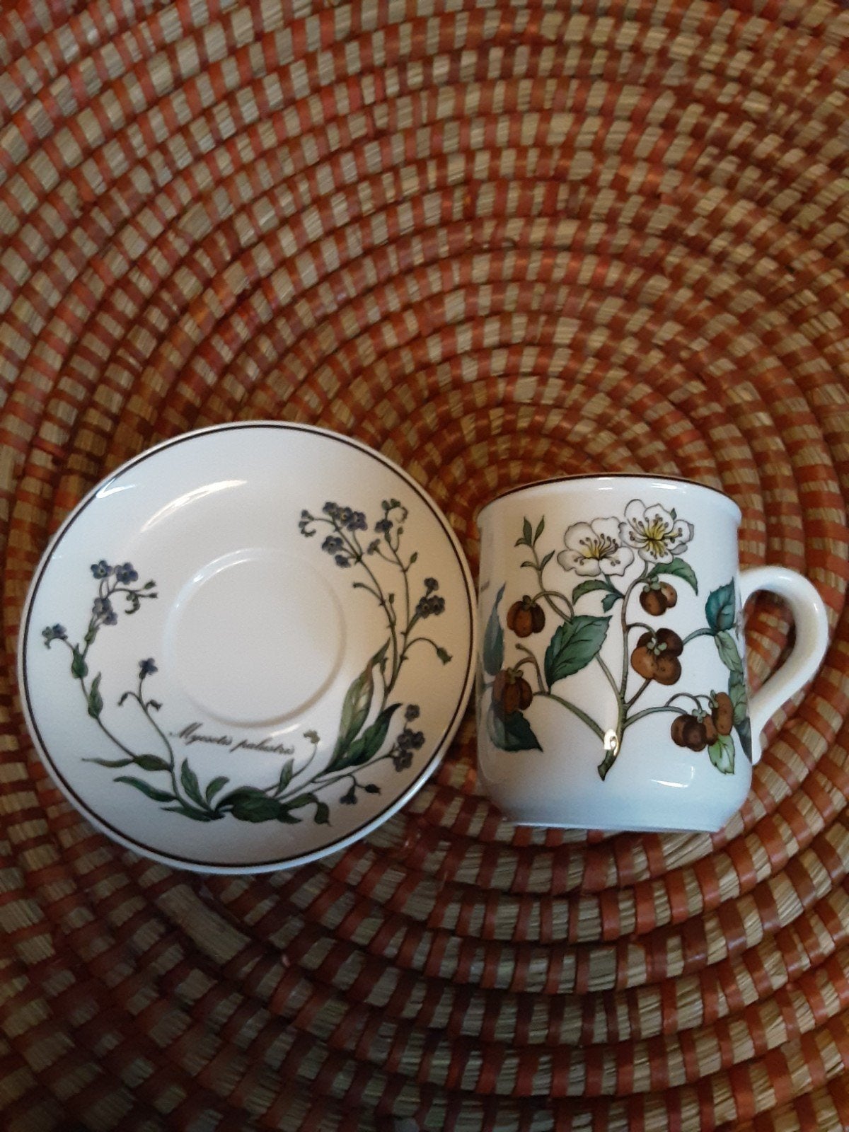 Villeroy & Boch Botanica mok en schotel, Klassiek, Villeroy & Boch, Ophalen of Verzenden, Zo goed als nieuw