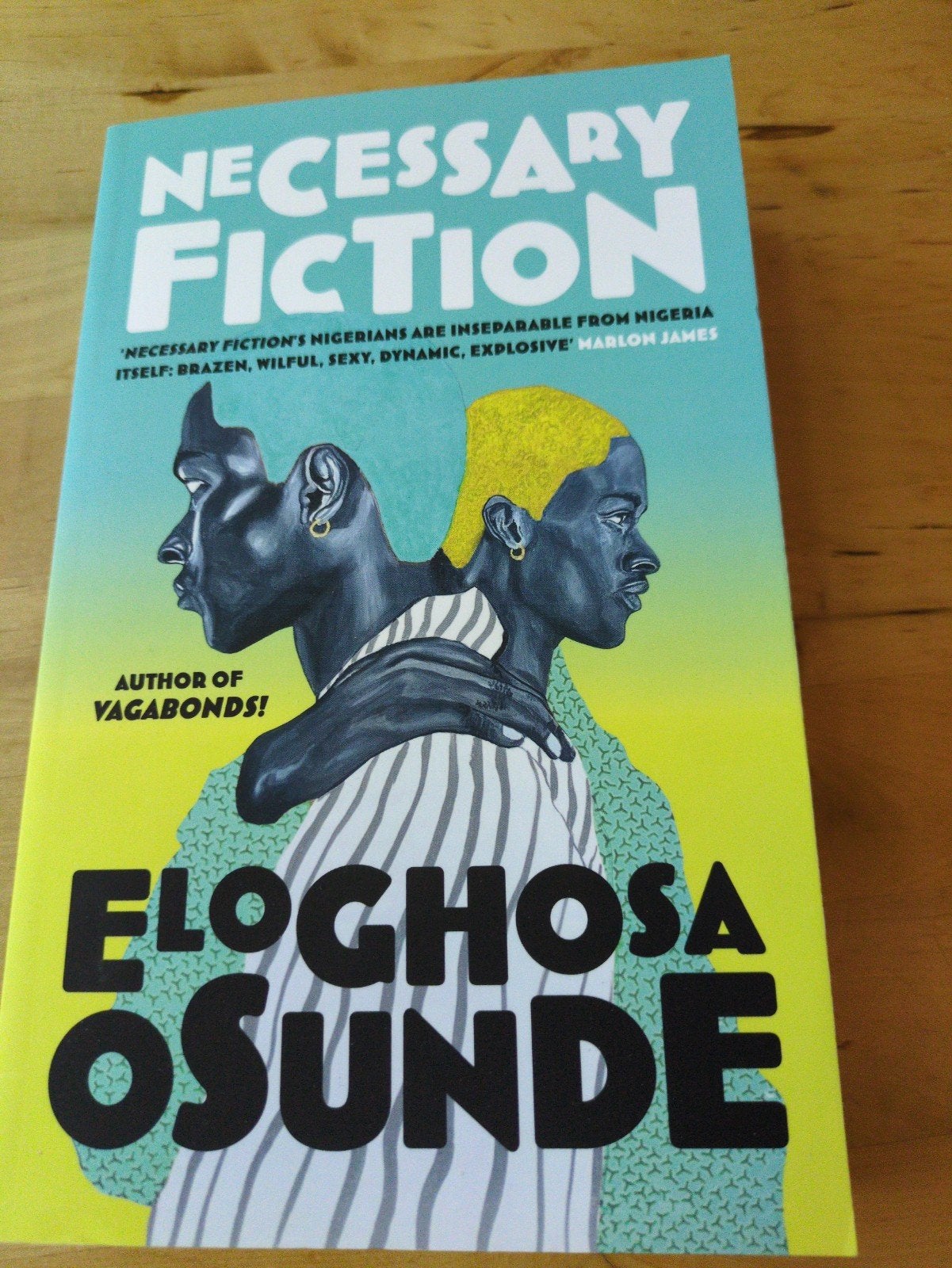 Necessary Fiction - Eloghosa Osunde (Engels), Ophalen of Verzenden, Zo goed als nieuw, Eloghosa Osunde, Wereld overig