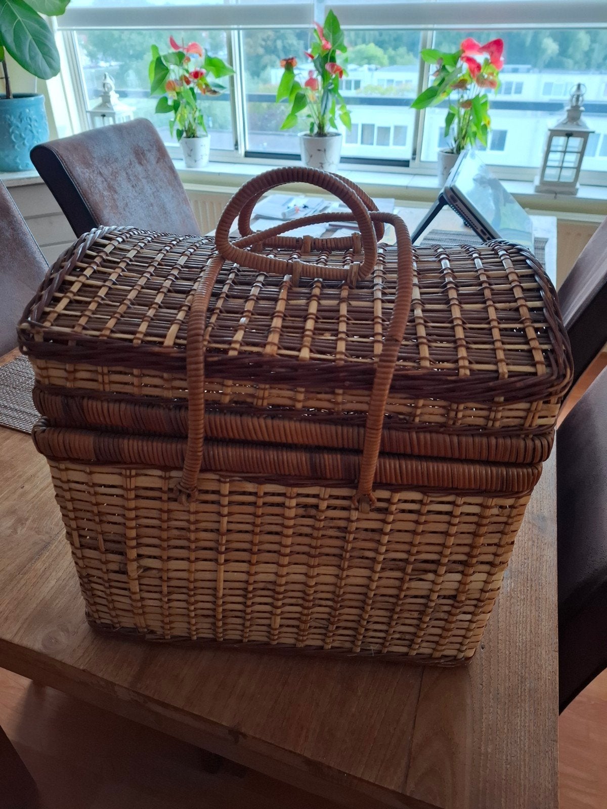 te koop mooie rieten picknick mand, Hobby en Vrije tijd, Picknickmanden, Ophalen of Verzenden