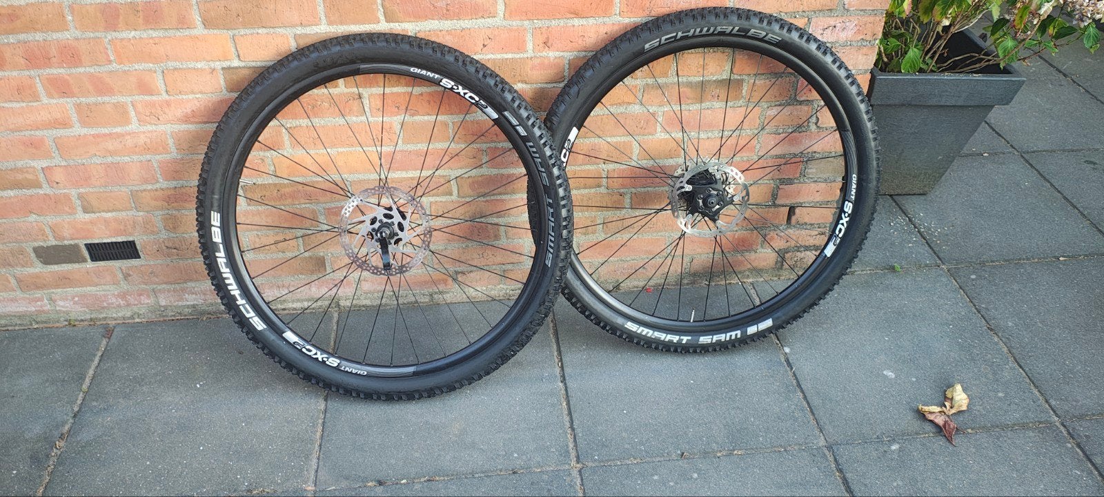 Giant XC2 29 inch. Wielset met Schwalbe Smart Sam banden, Fietsen en Brommers, Fietsonderdelen, Wiel, Zo goed als nieuw, Aluminium