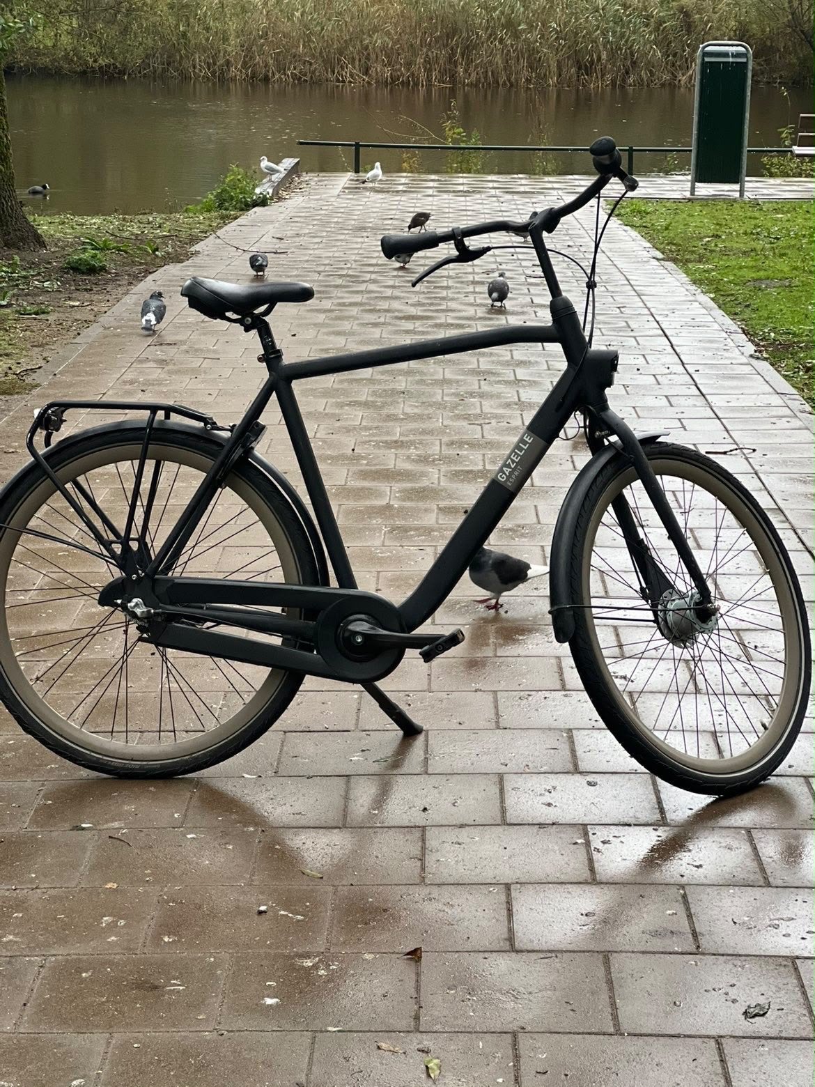 Gazelle Esprit fiets - Zo goed als nieuw, Ophalen, Velgrem, Versnellingen, Zo goed als nieuw