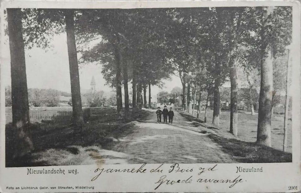 Nieuwland (Zeeland) - Gelopen 1909 Groede/Breskens, Ophalen of Verzenden, Voor 1920, Gelopen, Zeeland