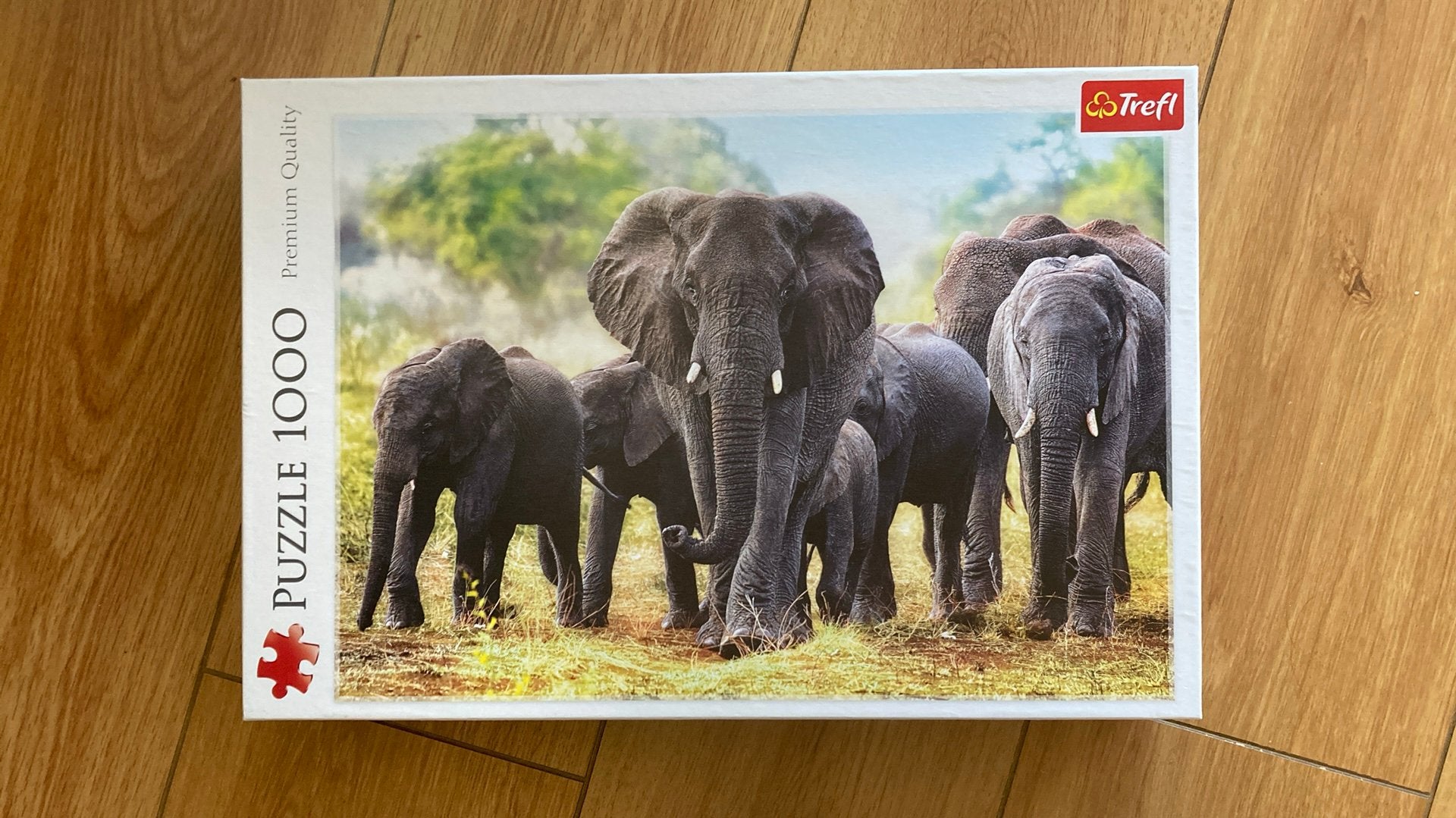 Puzzel 1000 stukjes, Ophalen of Verzenden, 500 t/m 1500 stukjes, Zo goed als nieuw, Legpuzzel