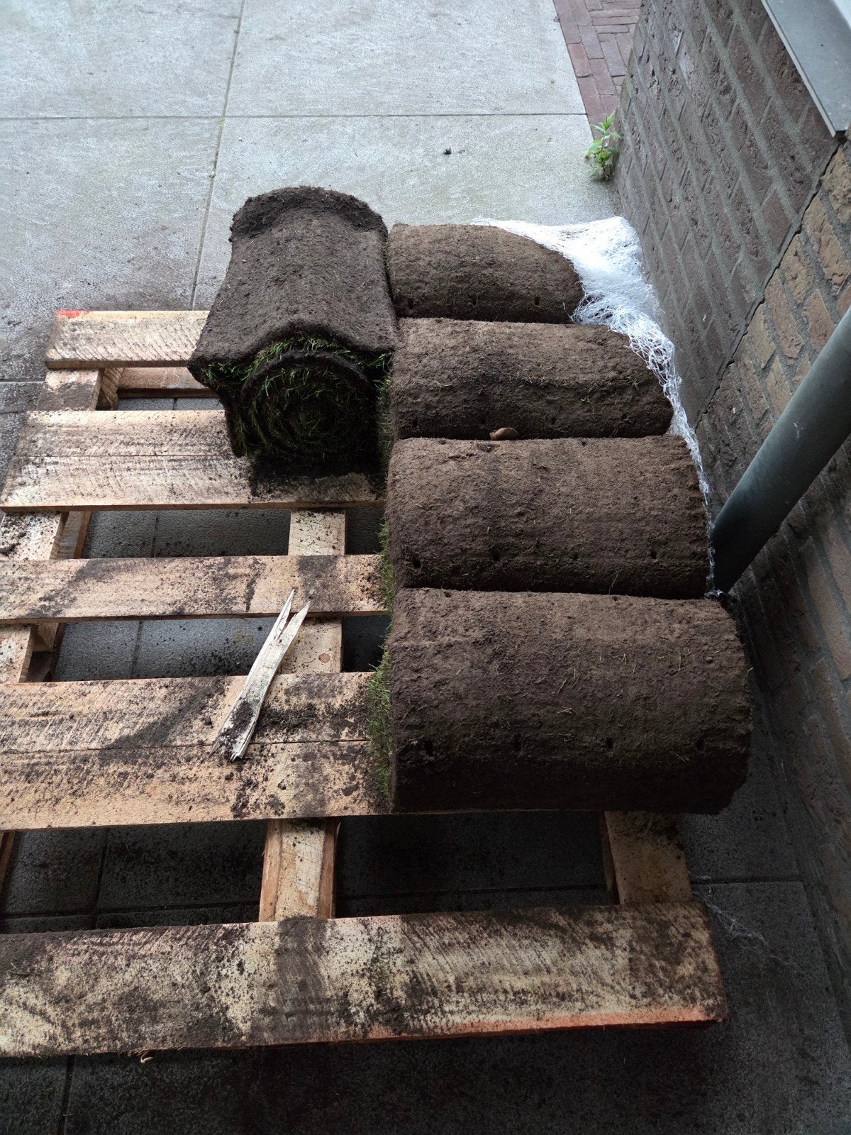 Gratis gras: Verse graszoden 6m2 (6 rollen), Ophalen, Nieuw, Minder dan 10 m²
