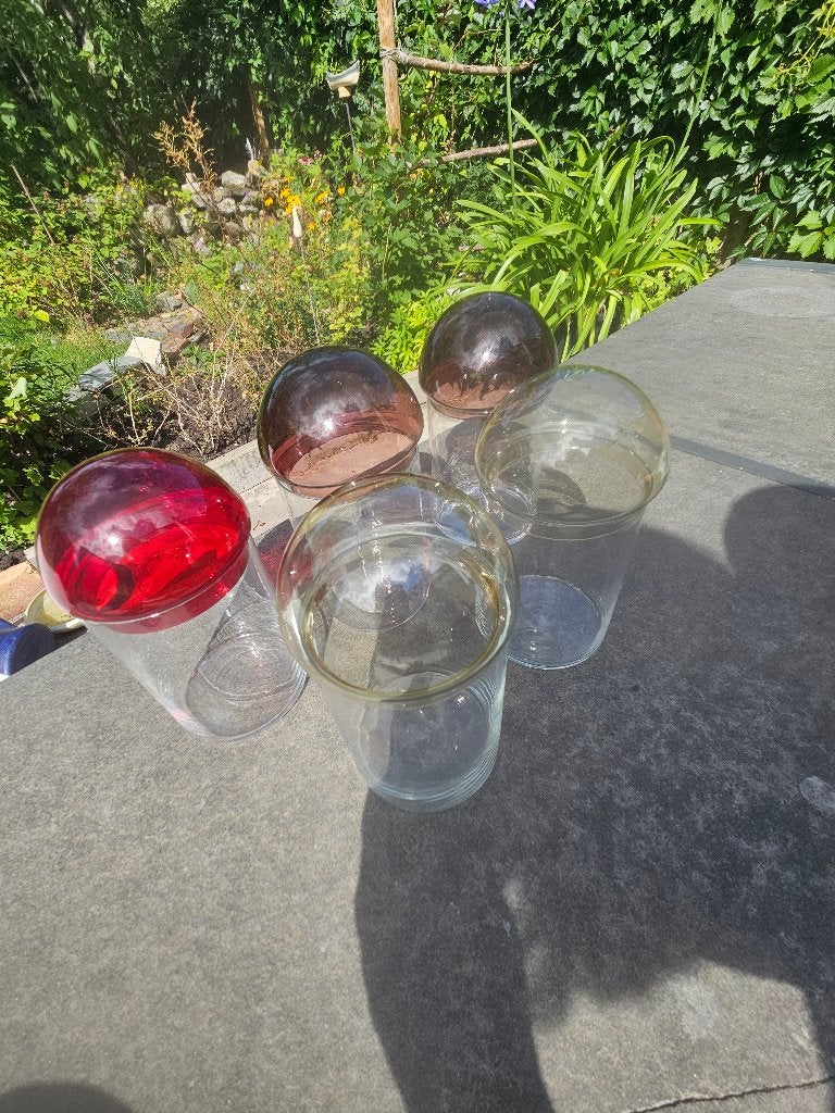 Voorraadpotten, Glas, Ophalen of Verzenden, Zo goed als nieuw, Voorraadpot