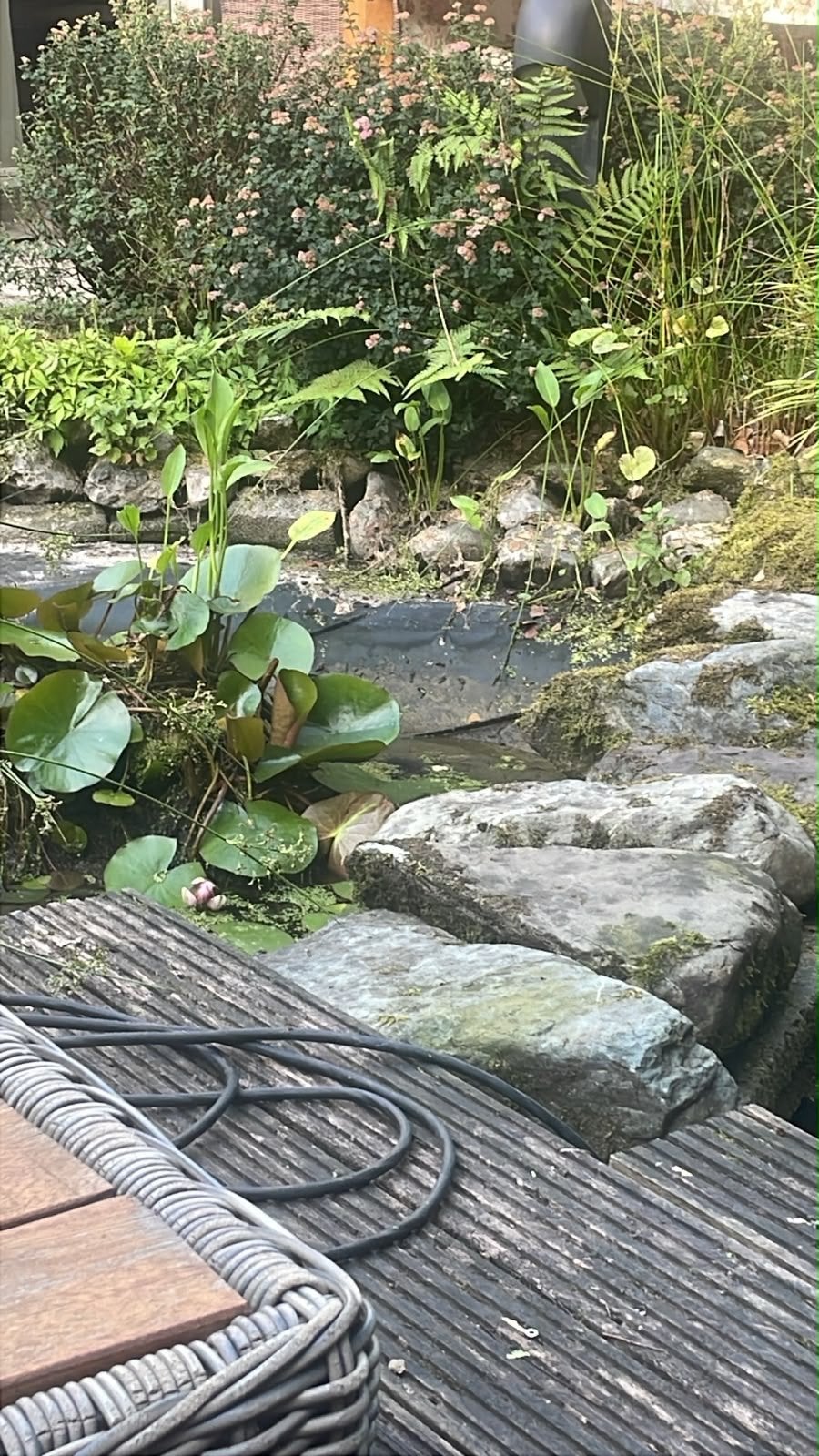 Decoratieve Zwerfkeien voor Tuin of Vijver, Ophalen, Overige materialen, Gebruikt, Kei