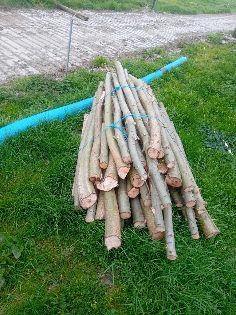Stammen wilgenhout, Minder dan 3 m³, Ophalen