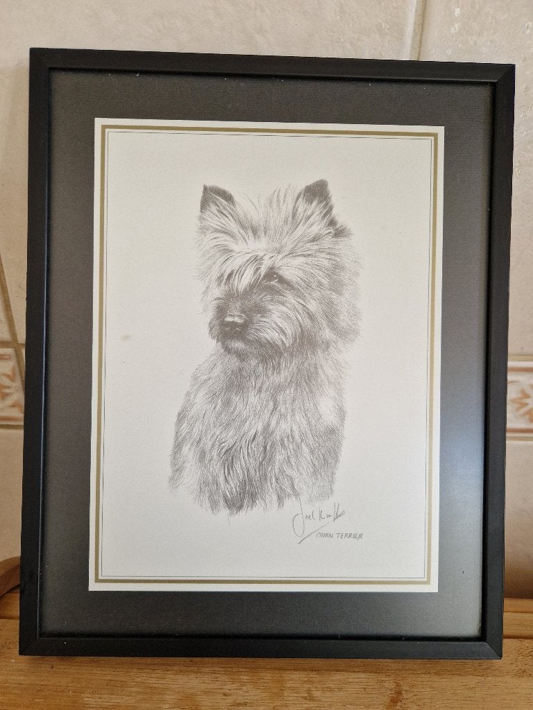 Cairn Terrier potloodtekening, Ophalen of Verzenden, Gebruikt, Hond of Kat, Overige typen