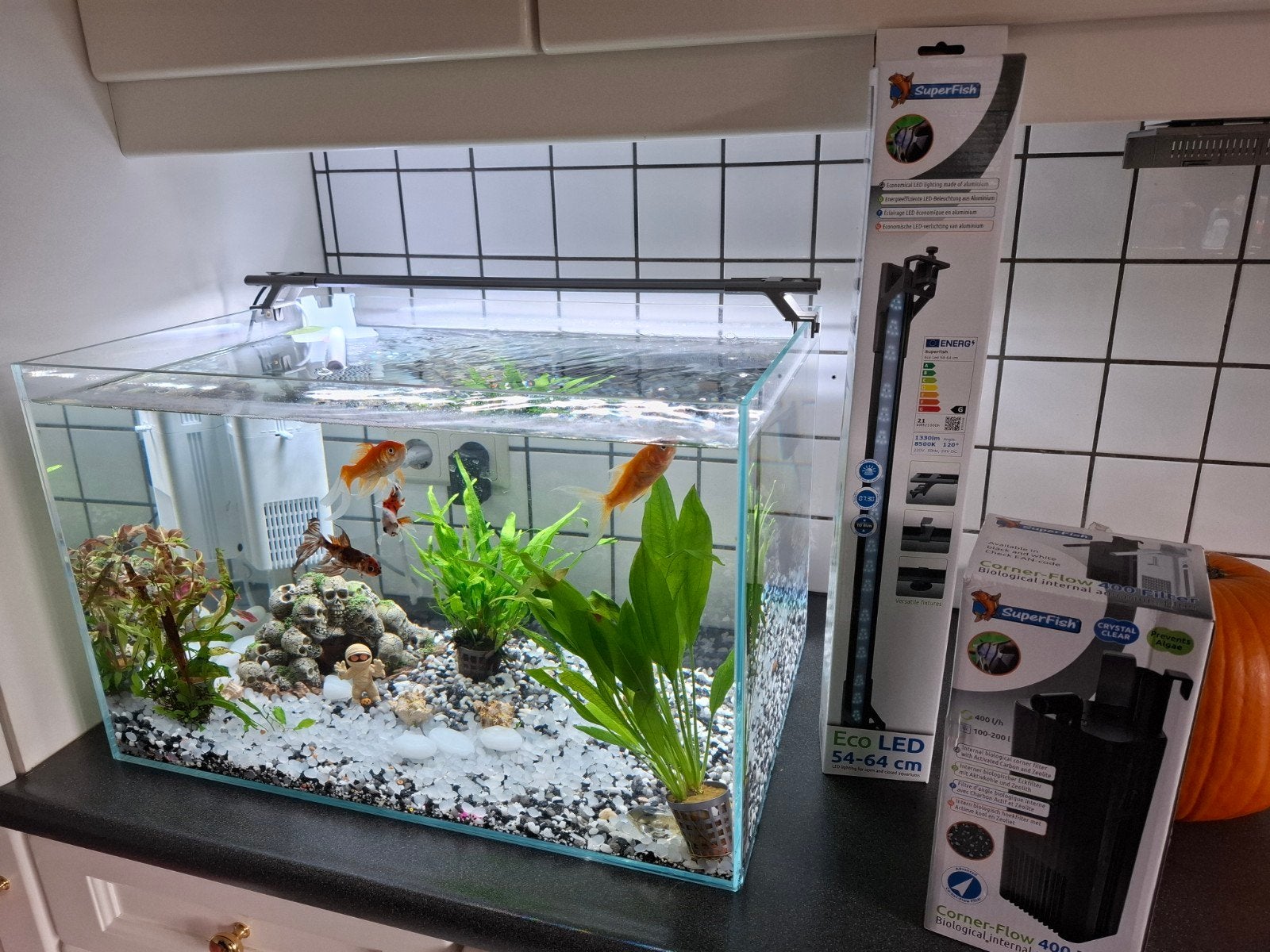 prachtig groot aquarium met pomp led verlichting balk en 5 v, Ophalen, Zo goed als nieuw, Gevuld zoetwateraquarium