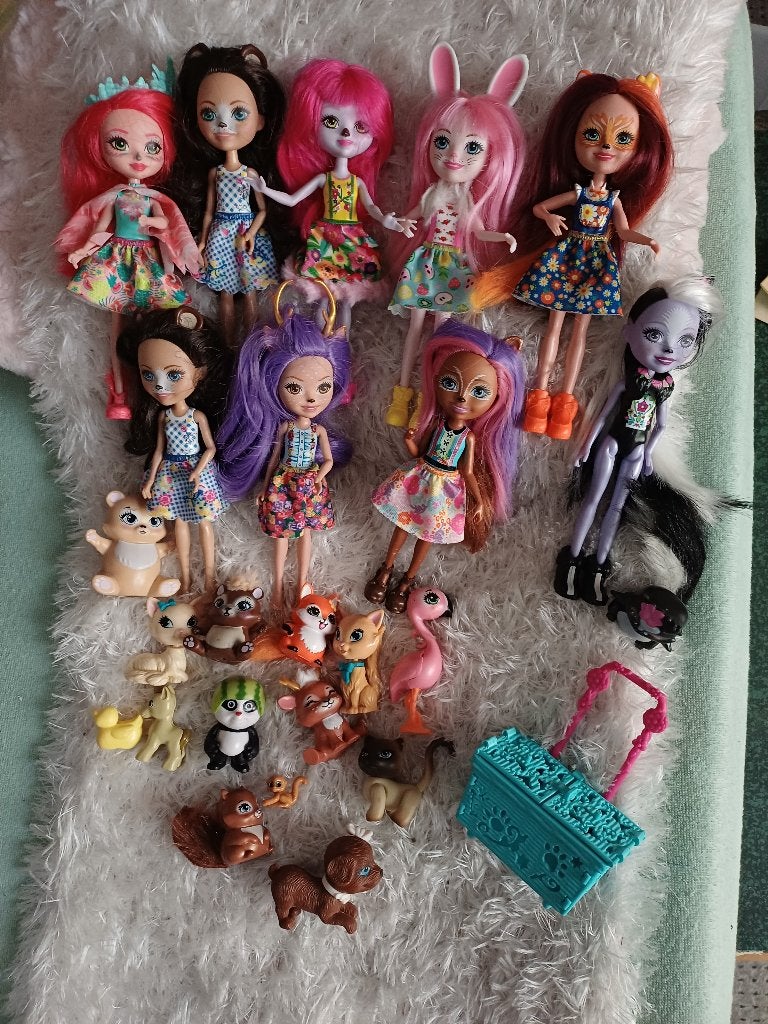 enchantimals popjes, Ophalen of Verzenden, Zo goed als nieuw, Barbie