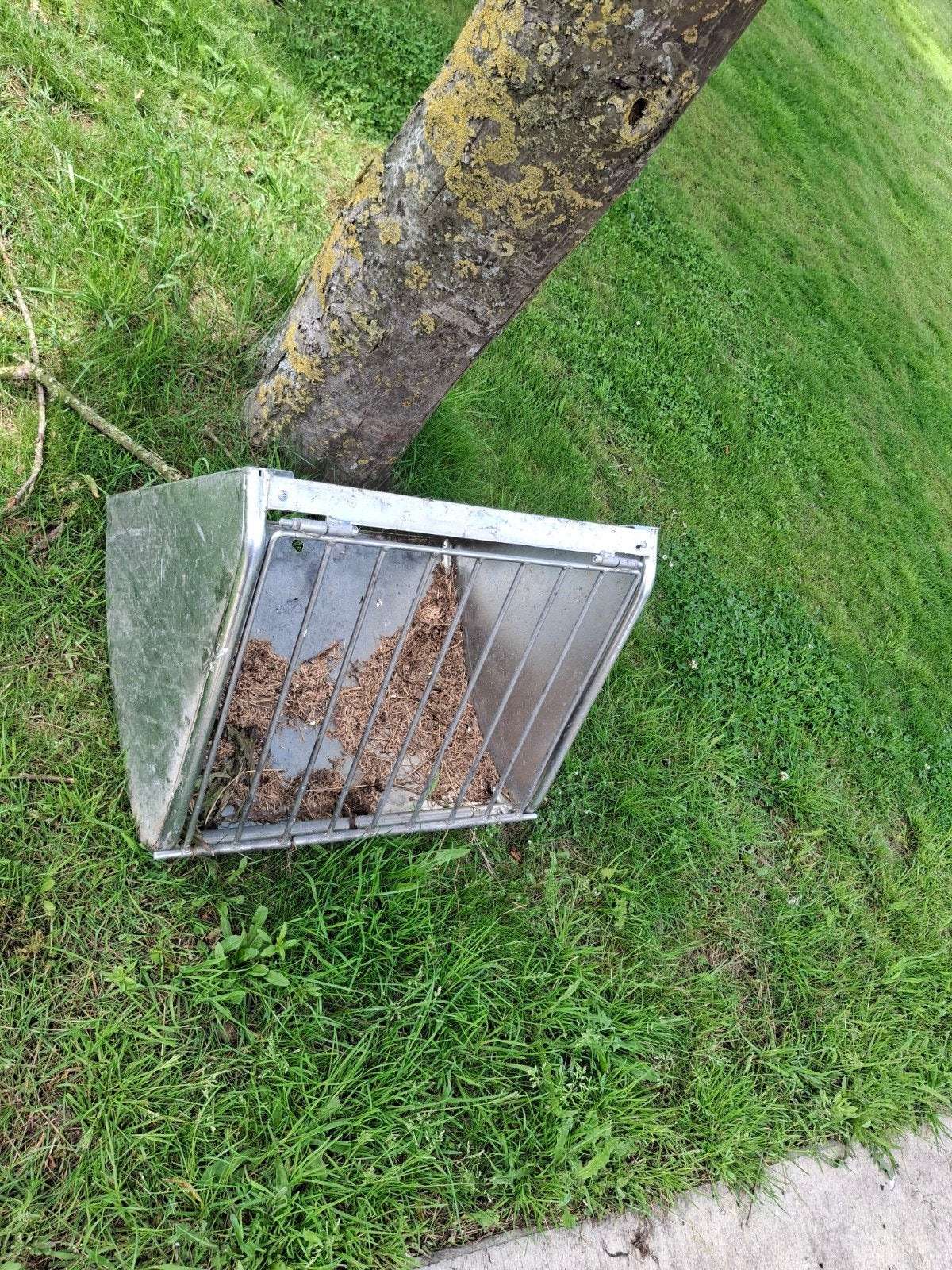 Slowfeeder voor hooi paard, Ophalen, Overige soorten