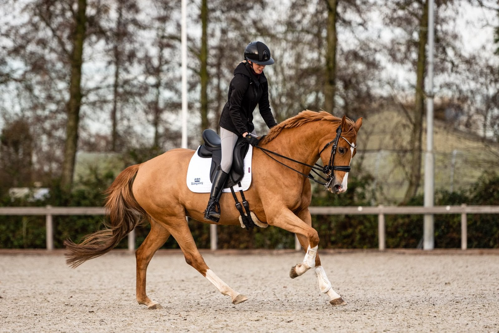 Super lieve & brave Z dressuur merrie aangeboden, Dieren en Toebehoren, Merrie, Met stamboom, Z, Dressuurpaard