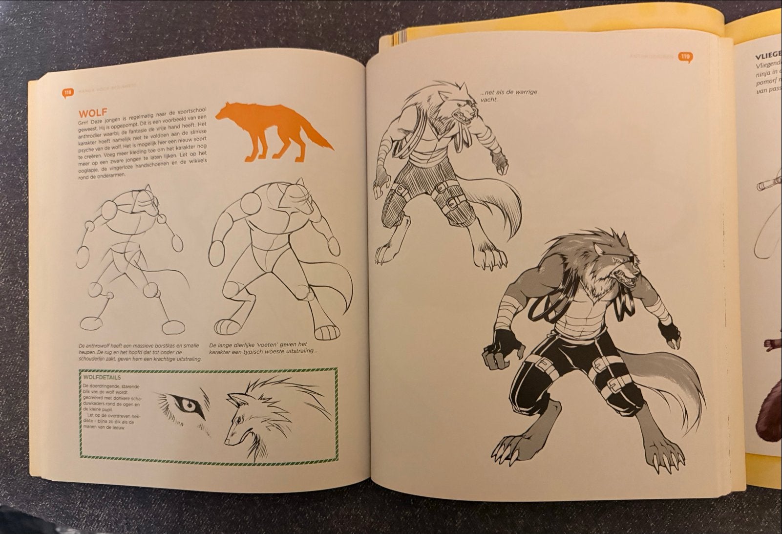 Manga en Fantasy Dieren Tekenboeken - Set van 2, Ophalen of Verzenden, Gebruikt, Boek of Gids