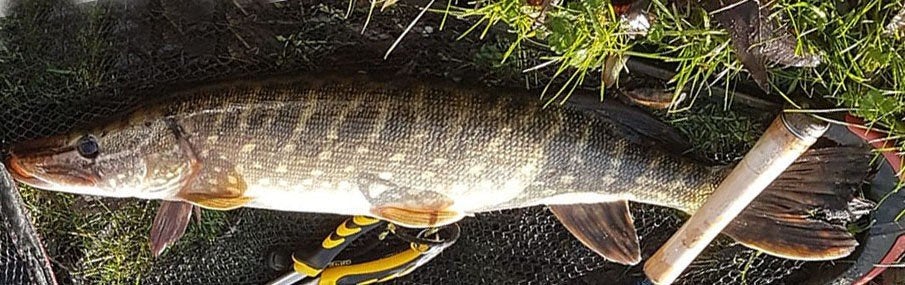 Set FL 7 van 2 snoekstreamers op Double Hook / Fleurhaak, Ophalen, Nieuw, Complete set