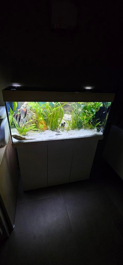 Aquarium 180 liter, Dieren en Toebehoren, Vissen | Aquaria en Toebehoren, Ophalen of Verzenden