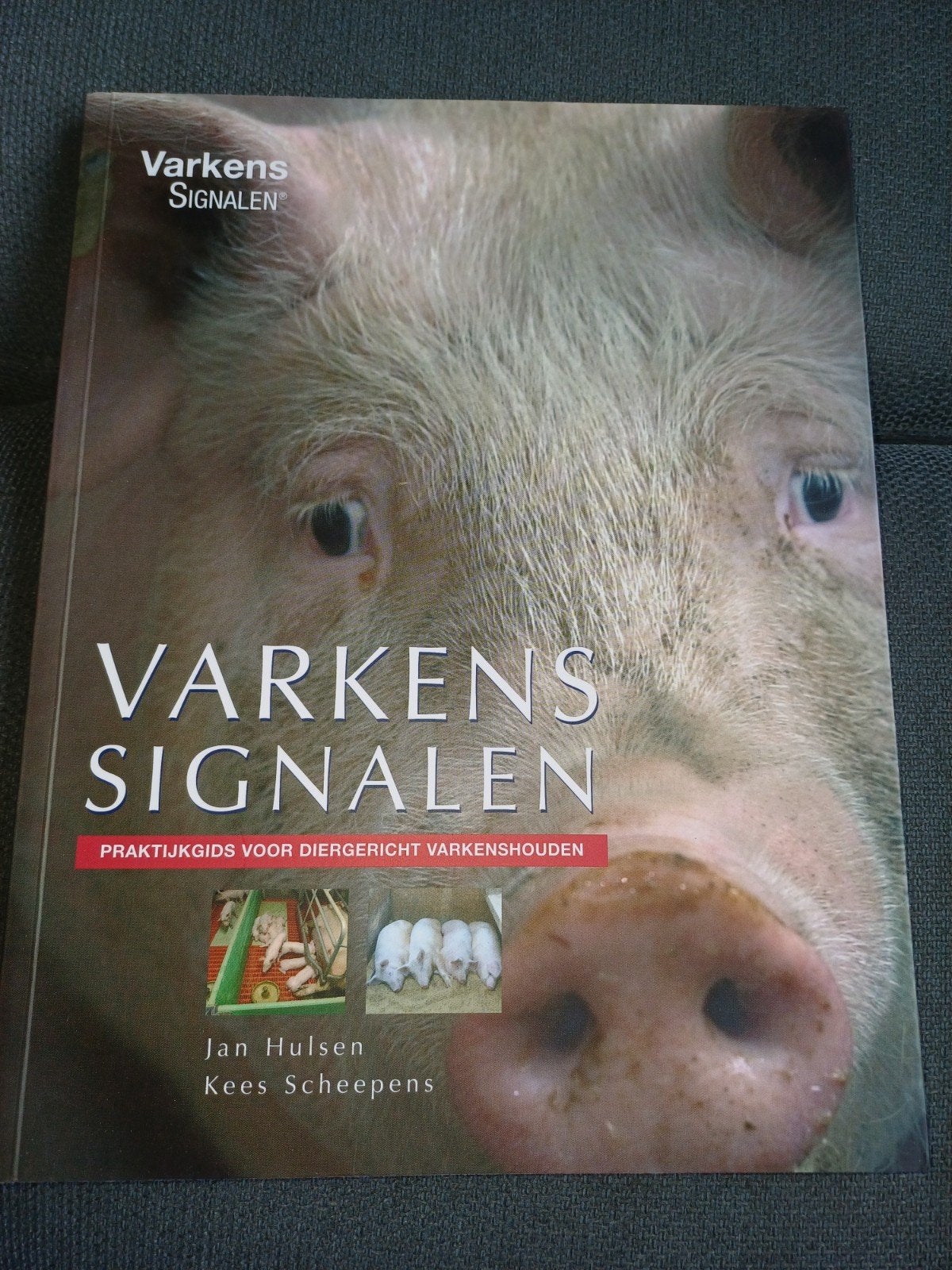 Varkenssignalen, Ophalen of Verzenden