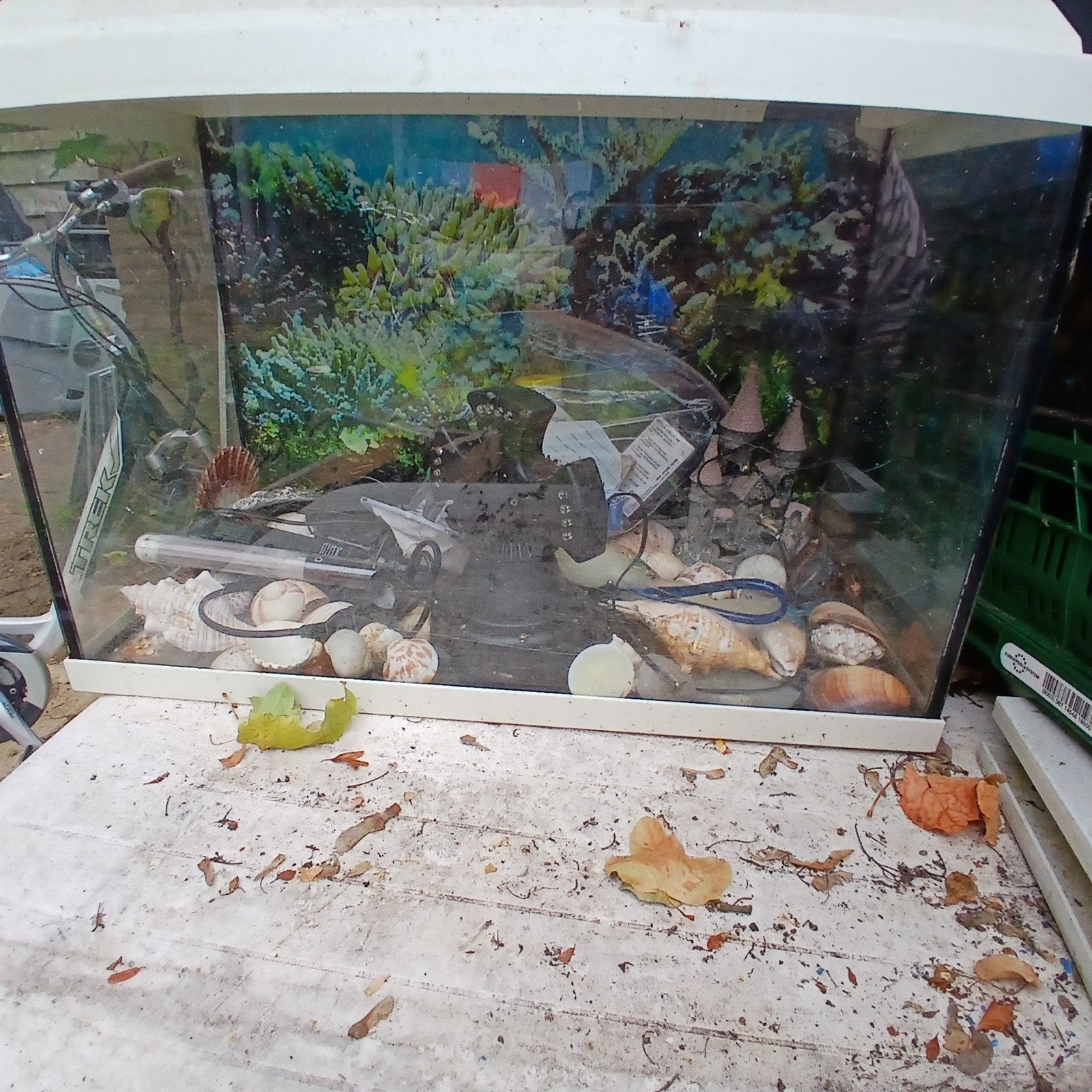 Aquarium, Dieren en Toebehoren, Ophalen of Verzenden