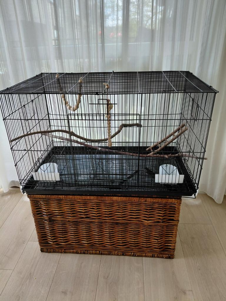 Vogelkooi, Ophalen, 75 tot 110 cm, Minder dan 65 cm