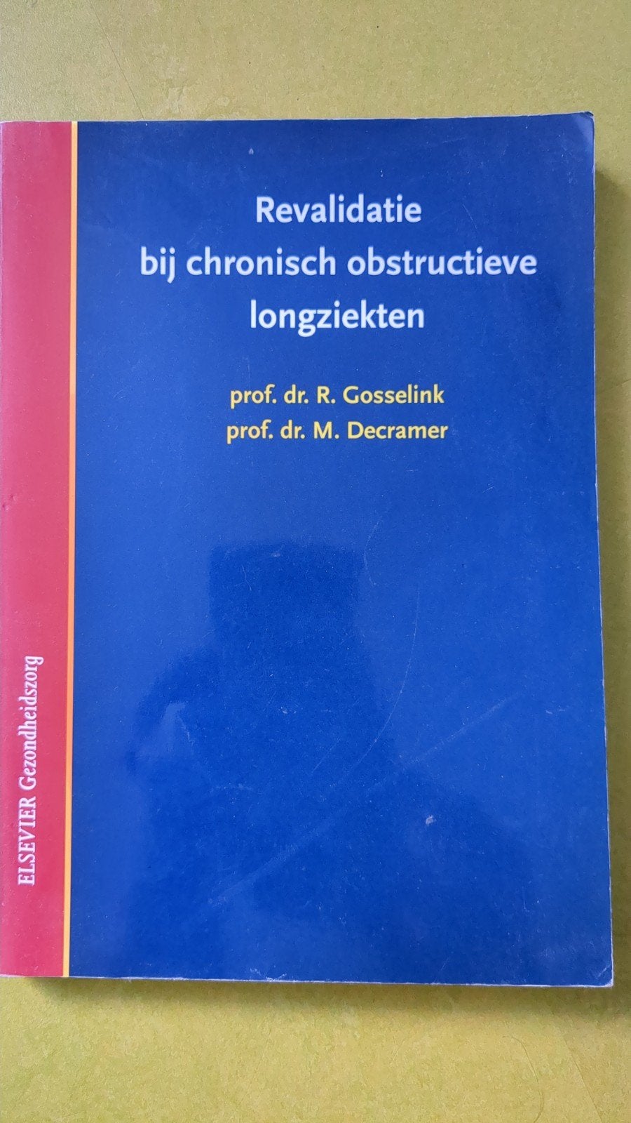 Revalidatie bij chronisch obstructieve longziekten, Boeken, Gelezen, Sociale wetenschap, M. Decramer; R. Gosselink, Ophalen of Verzenden