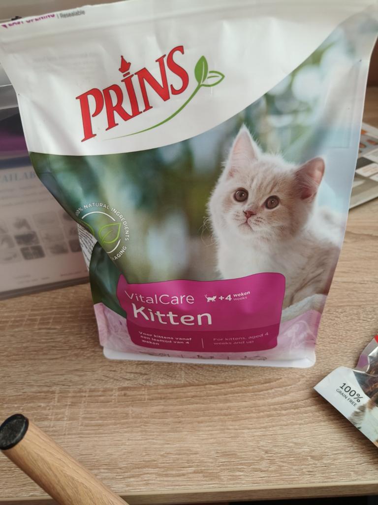 Gratis af te halen: kitten voer, Ophalen, Kat