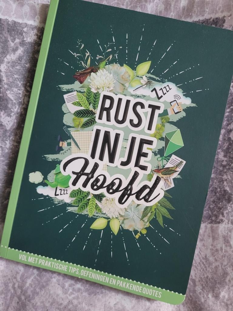 Boek: Rust in je hoofd, Boeken, Sociale wetenschap, Alexandra Maier, Ophalen of Verzenden, Zo goed als nieuw