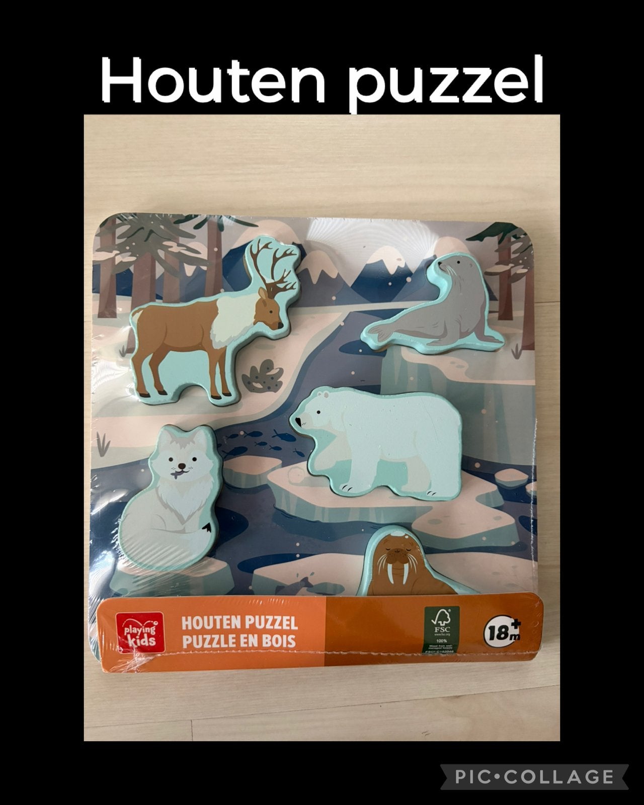 Houten puzzel met pool dieren voor kinderen nieuw, Nieuw, Ophalen of Verzenden, Van hout, Minder dan 10 stukjes