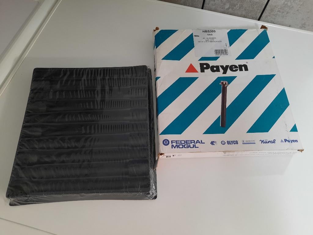 Cilinderkopbouten Payen - VW, Audi, Seat, Skoda, Ford  NIEUW, Ophalen of Verzenden, Nieuw, Seat