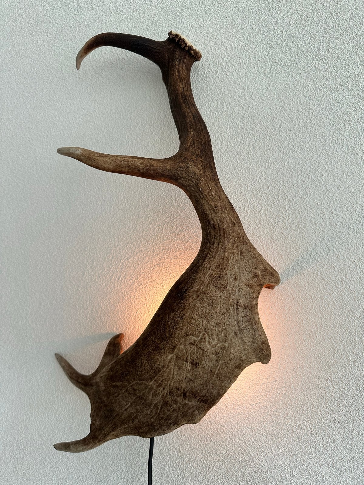Geweien geweienlamp jacht Veluwe geweien edelhert wandlamp., Bruin, Indirect licht, Natuurlijk materiaal, E14 (klein)