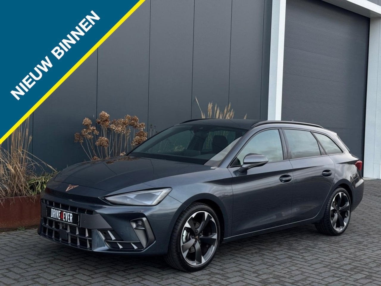 Cupra León