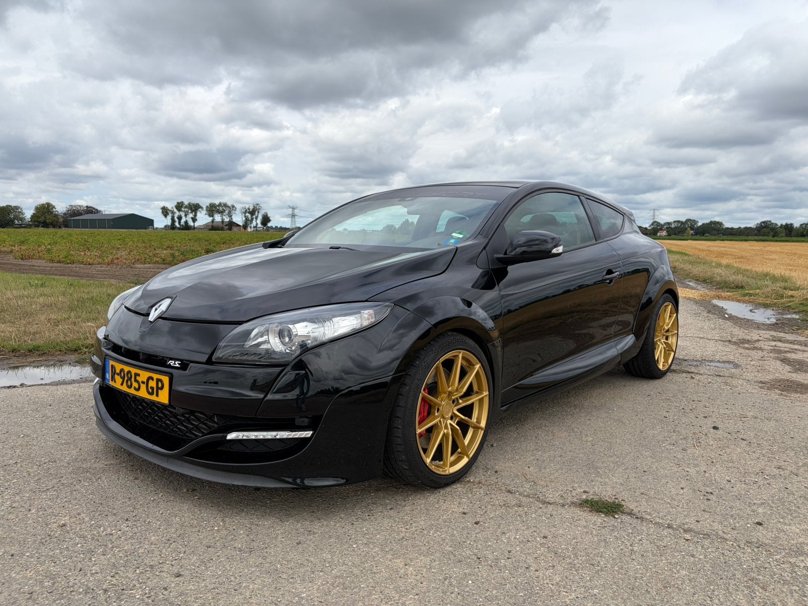 Renault Mégane RS 2.0 Cup 265PK Phase 2 2014 Zwart, Voorwielaandrijving, Zwart, 4 cilinders, Zwart