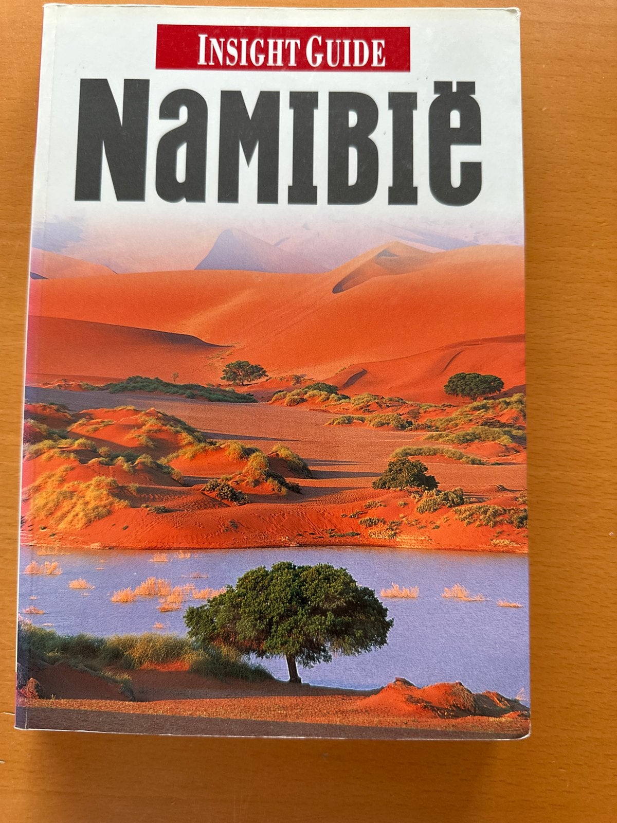 Namibië - Insight Guide Reisgids met inspiratie, Overige merken, Afrika, Ophalen of Verzenden, Zo goed als nieuw