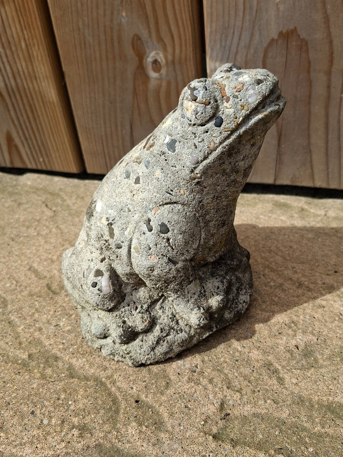 Betonnen kikker tuindecoratie (exclusief kleine kikkertjes), Ophalen of Verzenden, Gebruikt, Beton, Dierenbeeld