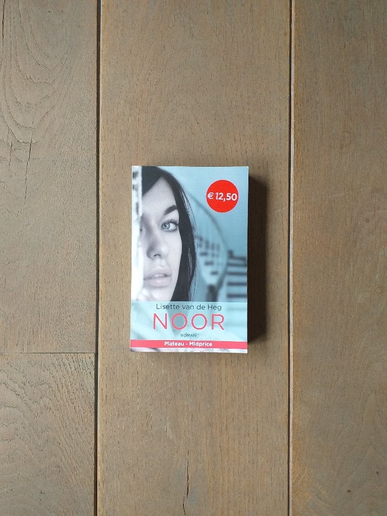 Roman (christelijk) : Noor. paperback 316 blz. Als nieuw!, Boeken, Ophalen of Verzenden, Zo goed als nieuw, Lisette van de Heg