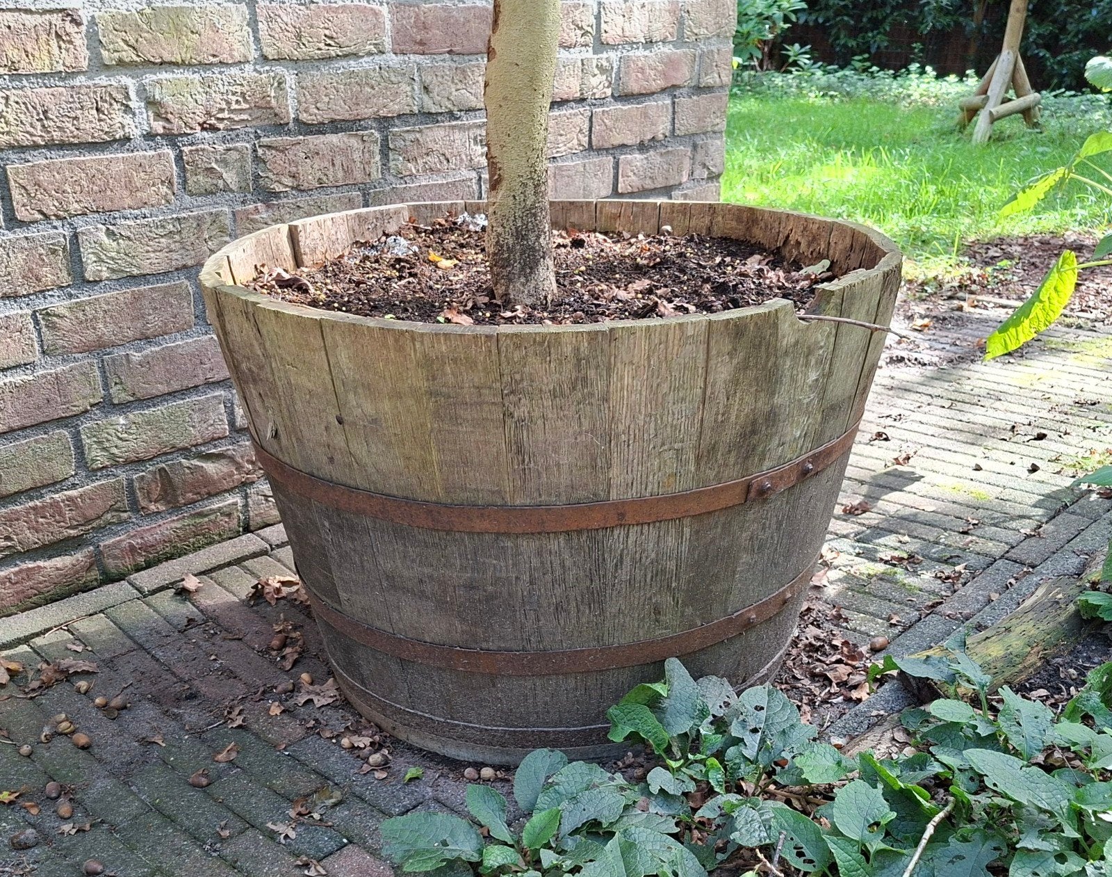 Half wijnvat 150L, Ophalen, Gebruikt, Rond, 60 tot 100 cm