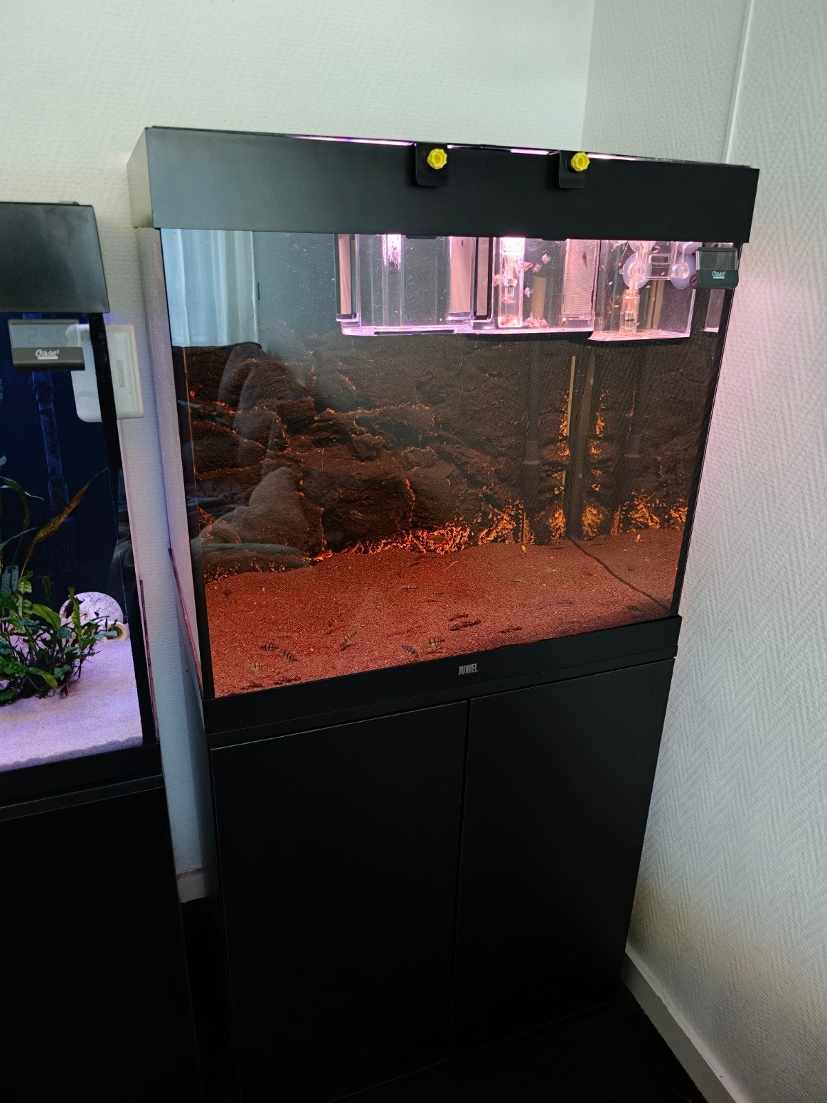 Juwel Lido 200 Aquarium, Ophalen, Gebruikt, Leeg aquarium