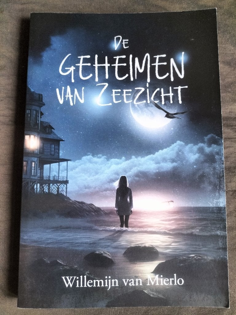 Willemijn van Mierlo - De geheimen van Zeezicht
