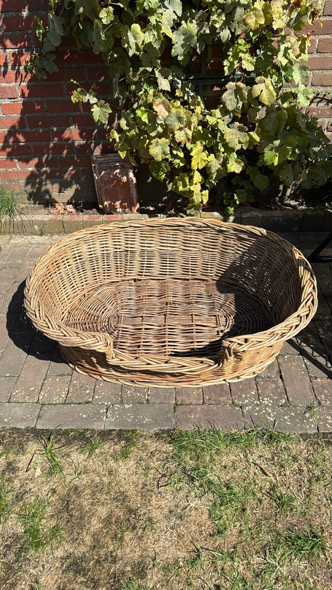 Rieten hondenmand, Ophalen, Gebruikt, Riet