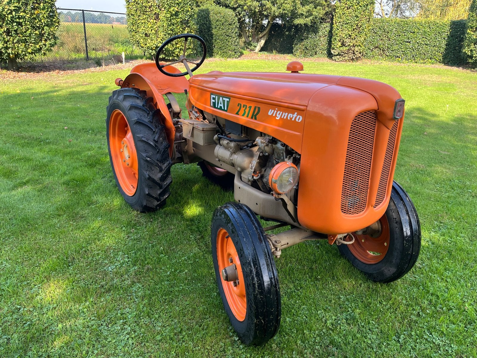 Fiat 231R Vigneto, Ophalen, 2500 tot 5000, Oldtimer, Tot 80 Pk