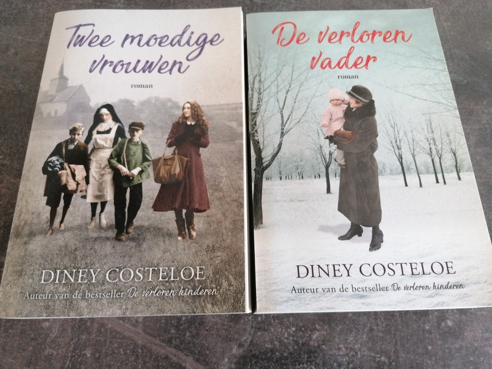 Diney Costeloe - Twee moedige vrouwen & De verloren vader, Ophalen of Verzenden, Gelezen, Diney Costeloe