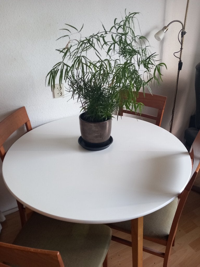 Tafel wit rond Jegind (Jysk), Ophalen, 50 tot 100 cm, Rond, 50 tot 100 cm