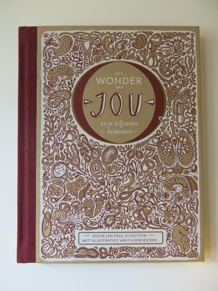 kinderboek "Het Wonder van jou" Paul Schutten & Floor Rieder, Ophalen, Zo goed als nieuw, Paul Schutten & Floor Rieder, Sprookjes