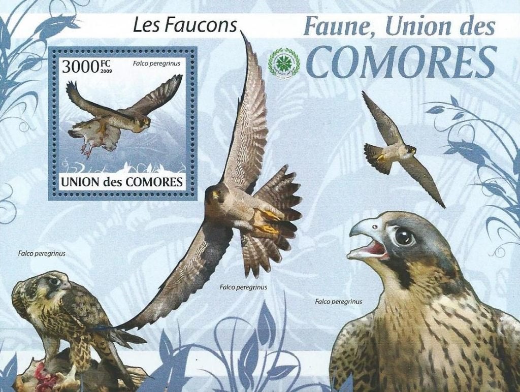 Vogels - Comoren - Mi blok 525 - Postfris, Ophalen of Verzenden, Postfris, Dier of Natuur