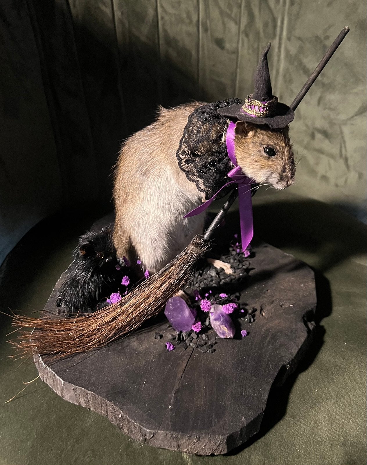 Opgezette rat, whimsy, gothic, taxidermy, Ophalen of Verzenden, Zo goed als nieuw, Vogel, Opgezet dier