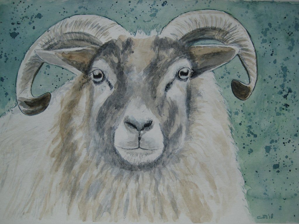 Aquarel ram (op groene achtergrond), Ophalen, Minder dan 50 cm, Oorspronkelijke maker, Nieuw