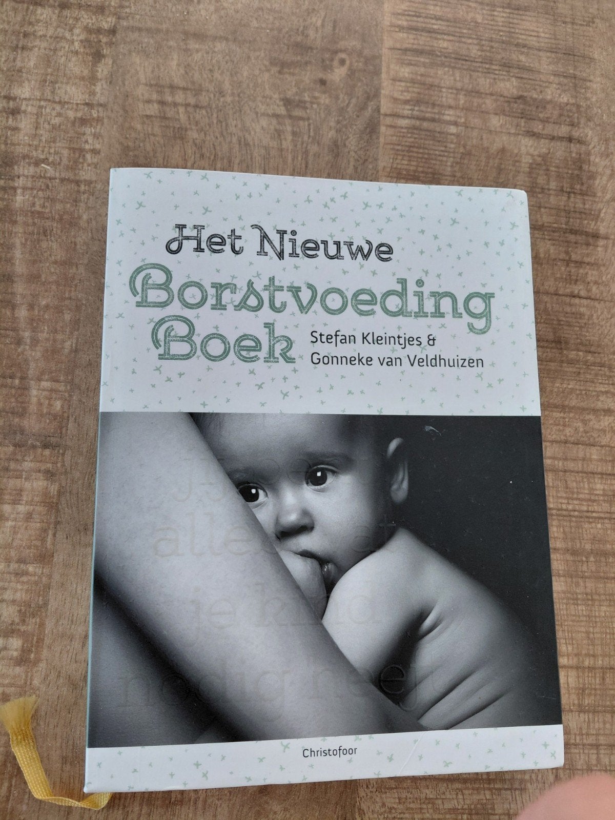 Het Nieuwe Borstvoeding Boek - Stefan Kleintjes, Ophalen of Verzenden, Zo goed als nieuw, Zwangerschap en Bevalling, Stefan Kleintjes & Gonneke van Veldhuizen