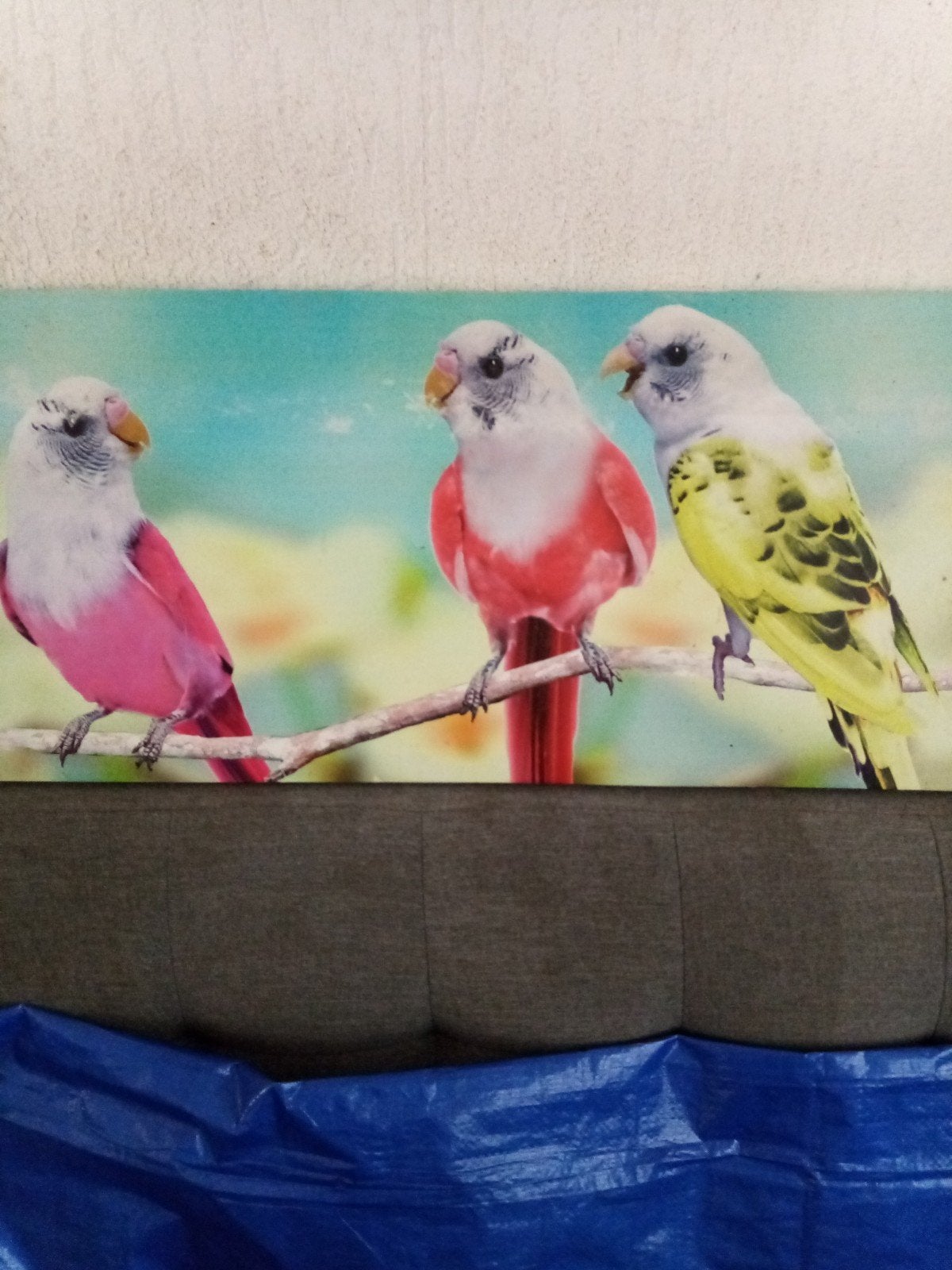 Schilderij grasparkieten 78x30 cm, Huis en Inrichting, Ophalen, Gebruikt, 75 tot 100 cm, Schilderij