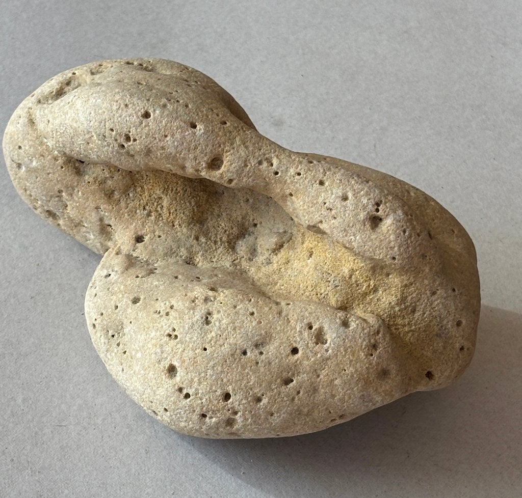 Fossiele steen, Verzamelen, Ophalen of Verzenden